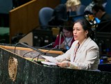 Việt Nam kêu gọi cộng đồng quốc tế xây dựng thế giới hòa bình và an ninh