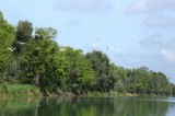 The Mekong Delta's monsoon river ride