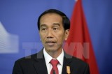 Indonesia calls for global cooperation in combating illegal fishing