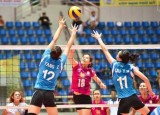 First Vietnamese plays at volleyball world cup