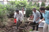 Lương y Nguyễn Quốc Nguyên: Tâm huyết bảo tồn và phát triển cây thuốc quý xáo tam phân