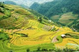 Vietnam, RoK cooperate to develop tourism