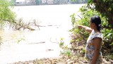Báo động tình trạng sạt lở ven sông Đồng Nai