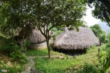 Bamboo building with ancient techniques wins American prizes