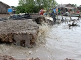 联合国粮农组织：气候变化对越南造成严重影响