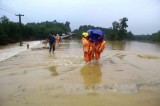 越南多地继续遭暴雨洪水袭击