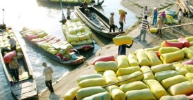 VFA says national rice brand key to integration