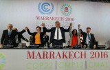 Climate talks set 2018 deadline to agree rules