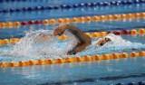 Vietnam’s top swimmer blasts new Asian championship record