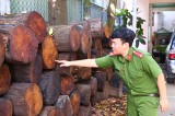 Bị xử phạt 150 triệu đồng về hành vi vận chuyển gỗ trái phép