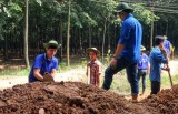 Xã Hưng Hòa, huyện Bàu Bàng: Cán đích nông thôn mới