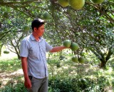 HTX cây ăn trái Tân Mỹ (Bắc Tân Uyên): Đưa ý tưởng làm giàu của các bạn trẻ thành hiện thực