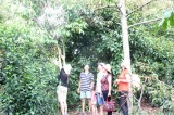 Phát triển vườn cây ăn trái Lái Thiêu gắn với du lịch