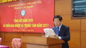 2017年越南森林覆盖率将增至41.25%