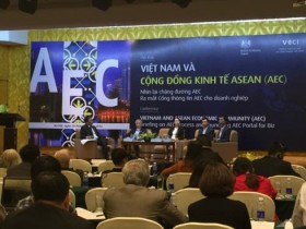 Vietnamese website on integration launches