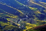 Northern Vietnam named Forbes’ cheapest travel place