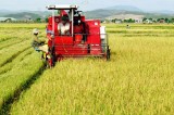 Agricultural sector moves from negative to positive growth