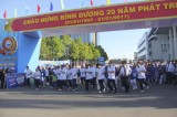 Activities welcoming New Year, marking 20 years of Binh Duong’s development held