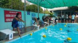 TX.Bến Cát: Gần 200 vận động viên tham gia giải bơi lội Hội khỏe Phù đổng