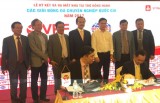 Becamex IDC tài trợ giải Hạng Nhất và Cúp Quốc gia Việt Nam 2017