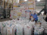 VFA dự báo xuất khẩu gạo năm 2017 sẽ đạt trên 5 triệu tấn