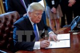 Ông Donald Trump ký sắc lệnh xây bức tường dọc biên giới Mỹ-Mexico