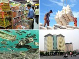 2017越南经济展望：为经济增长注入新动力