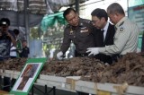 Thailand seizes three tonnes of pangolin scales