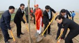 越南全国各地纷纷举行新春植树节活动