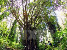 林同省出资逾5100亿多越盾 用于保护与发展生物多样性