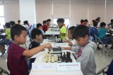 平阳扩大各年龄组国际象棋锦标赛共吸引180名棋手参赛