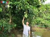 Increasing the value of Vietnam’s fruit specialties