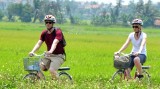 绿色旅游成为越南旅游业可持续发展的钥匙