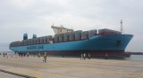 越南海港首次接收最大的集装箱船