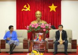 Provincial leader welcomes South African Ambassador to Vietnam