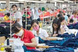 South African market: Opportunities for enterprises in Binh Duong