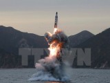 Mỹ tấn công mạng gây gián đoạn vụ thử tên lửa Triều Tiên