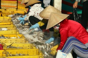 110 doanh nghiệp vừa và nhỏ Việt Nam tìm cơ hội ở Singapore