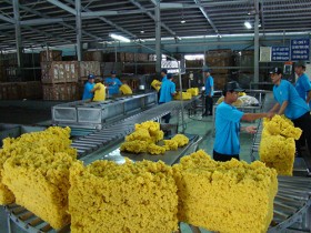 Những dòng “nhựa trắng”…