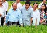 An Giang asked to improve food products for export