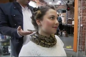 Dịch vụ mát-xa cổ lạ với... trăn sống