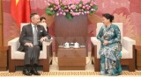 越南国会主席阮氏金银会见捷克新任驻越南大使