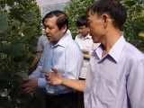 Delegation of Vietnam Farmers Association’s Central Committee works with provincial Farmers Association