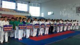 10 tỉnh, thành, ngành dự Giải vô địch Karatedo truyền thống