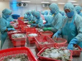 Vietnam targets US$10 billion in shrimp exports by 2025