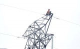 Nam thanh niên trèo trụ điện cao thế 220kV