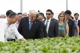 以色列总统鲁文·瑞夫林及夫人造访三岛VinEco高工艺应用农业区