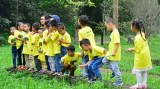 提高儿童对环境和野生动物保护的意识