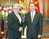 国家主席陈大光：越南十分重视巩固和发展对瑞关系