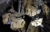 广宁省下龙湾管委会拟为新发现的23个洞穴命名